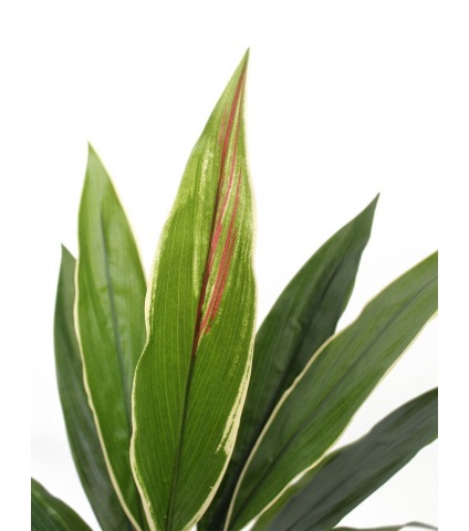 Dracaena cordyline artificiel vert
