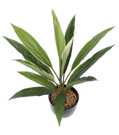 Dracaena cordyline artificiel vert