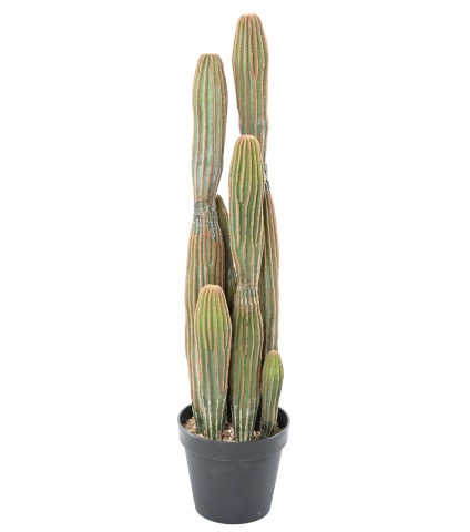 Cactus mammillaire allongé artificiel