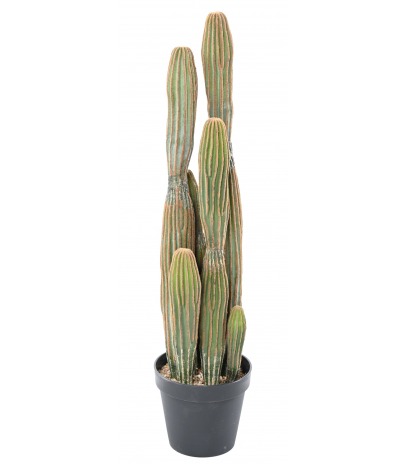 Cactus mammillaire allongé artificiel