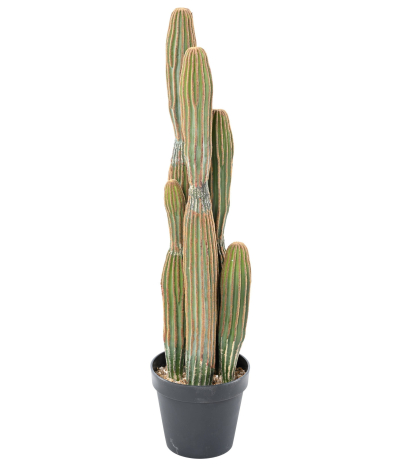Cactus mammillaire allongé artificiel