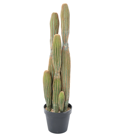 Cactus mammillaire allongé artificiel