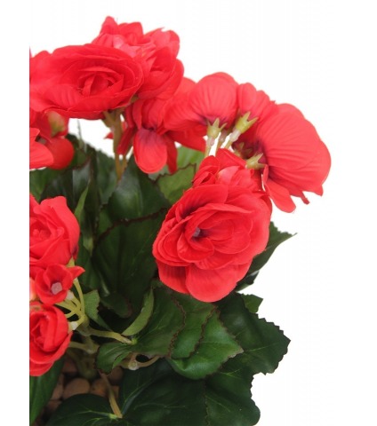 Bégonia artificiel rouge mini