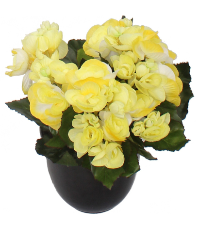 Bégonia artificiel blanc jaune mini