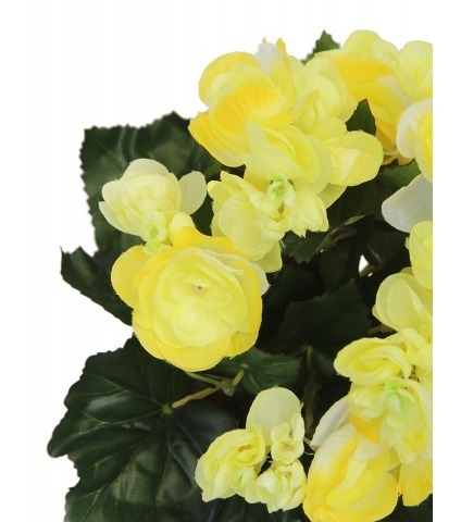 Bégonia artificiel blanc jaune mini