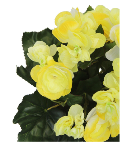 Bégonia artificiel blanc jaune mini