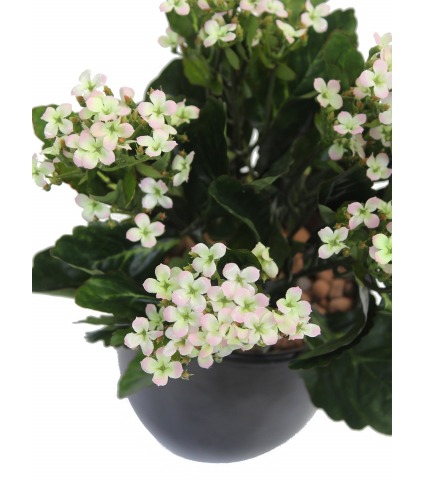 Kalanchoe artificiel rose clair