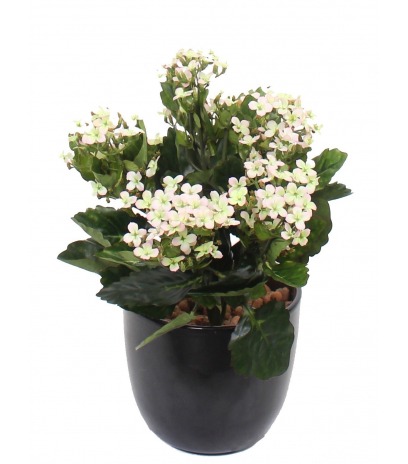 Kalanchoe artificiel rose clair