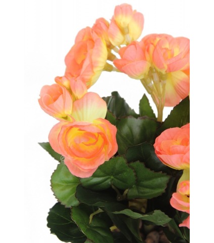 Bégonia artificiel pêche mini