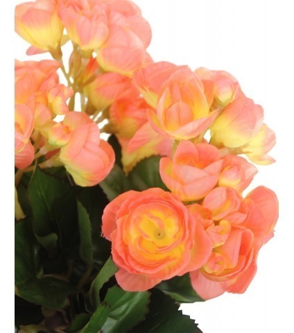 Bégonia artificiel pêche mini