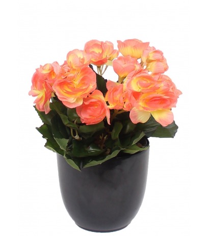 Bégonia artificiel pêche mini