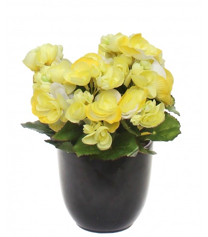 Mini bégonia artificiel blanc et jaune 25 cm - Bégonias et pétunias  artificiels - Artiplantes
