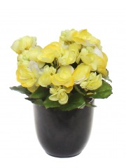 Bégonia artificiel blanc jaune mini