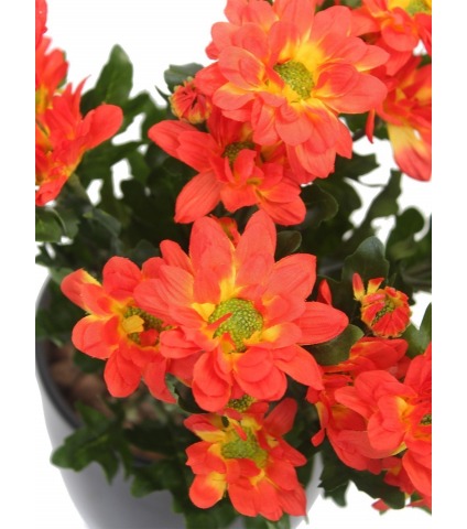 Chrysanthème artificiel rouge