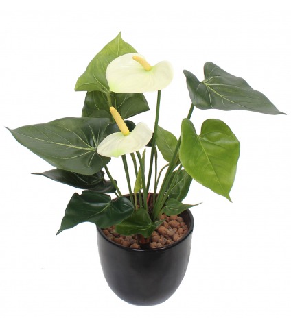 Anthurium artificiel blanc