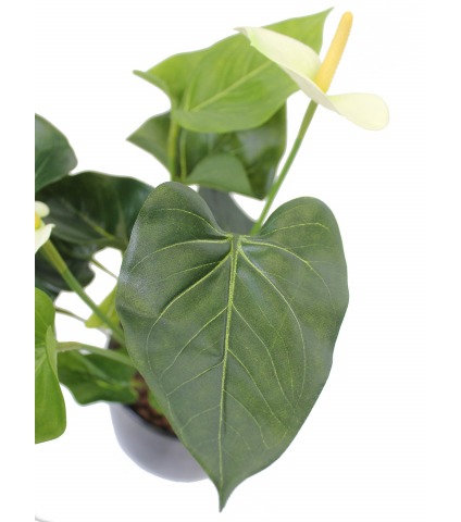 Anthurium artificiel blanc