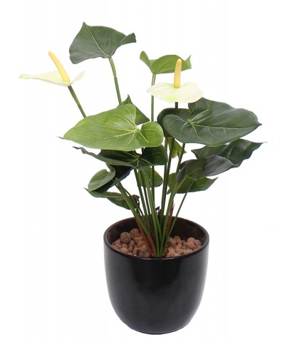Anthurium artificiel blanc