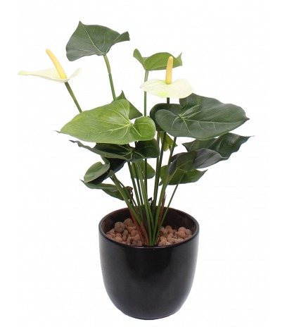 Anthurium artificiel blanc