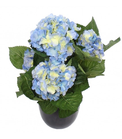 Hortensia artificiel bleu