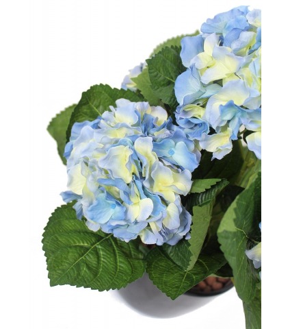 Hortensia artificiel bleu