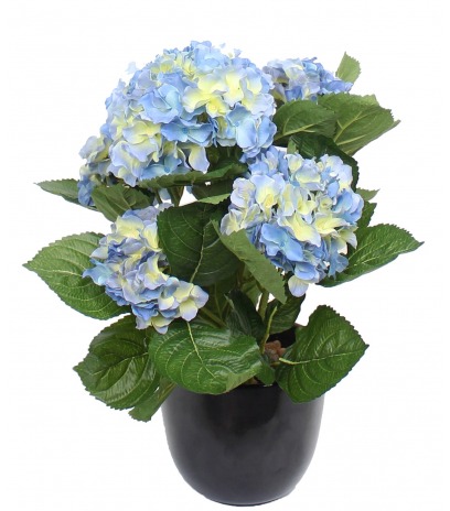 Hortensia artificiel bleu