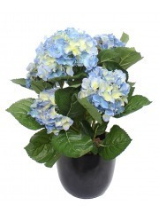 Hortensia artificiel bleu