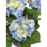Hortensia artificiel bleu