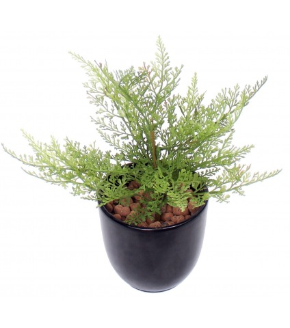 Mini asparagus artificiel