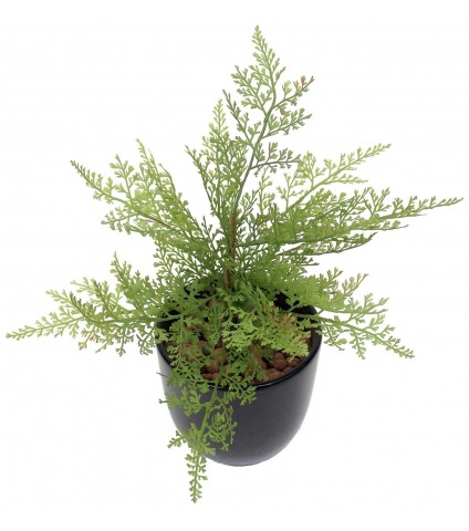 Mini asparagus artificiel