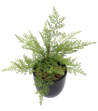 Mini asparagus artificiel