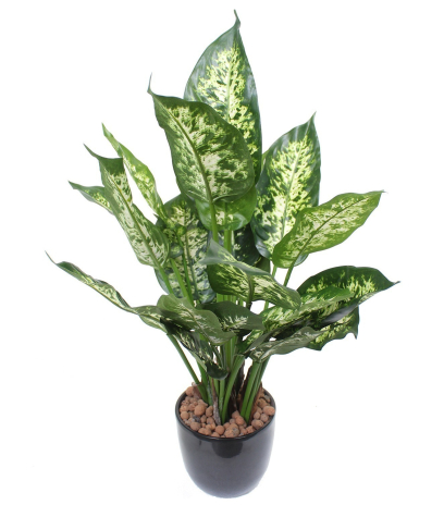Dieffenbachia compacta artificiel