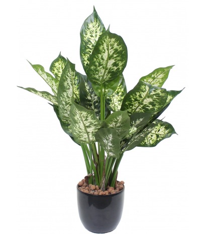 Dieffenbachia compacta artificiel