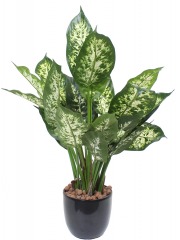 Dieffenbachia compacta artificiel