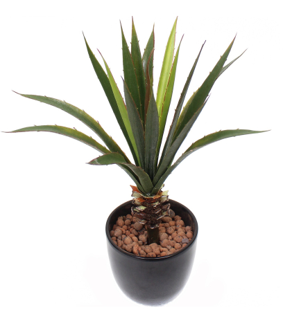 Aloe vera artificiel sur piquet