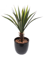 Aloe vera artificiel sur piquet