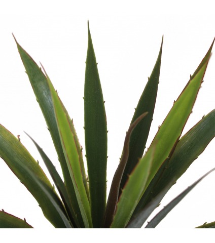 Aloe vera artificiel sur piquet