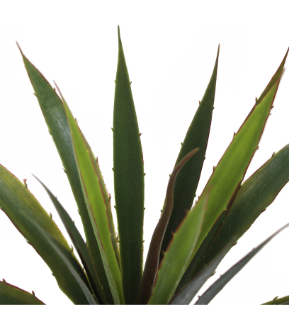 Aloe vera artificiel sur piquet
