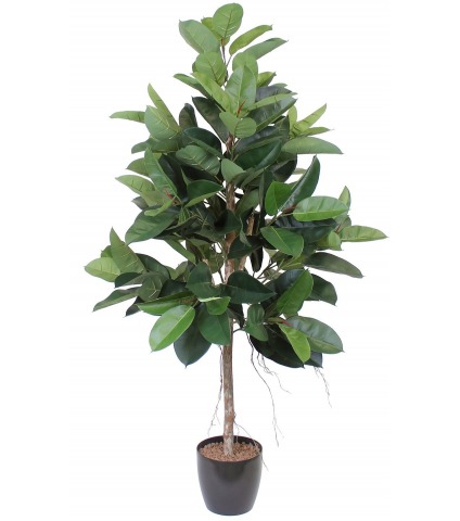 Ficus elastica artificiel