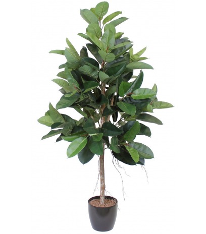 Ficus elastica artificiel