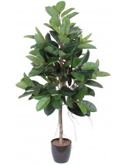 Ficus elastica artificiel