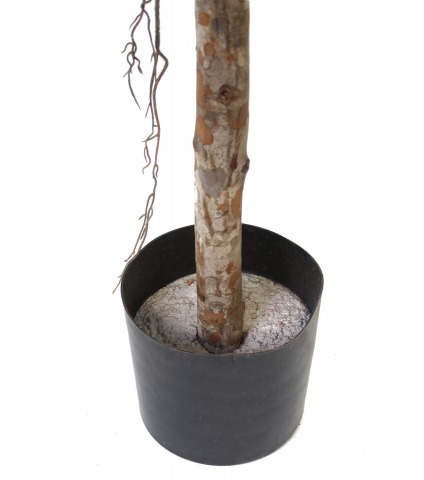 Ficus elastica artificiel