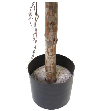 Ficus elastica artificiel