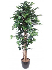 Ficus artificiel multitronc