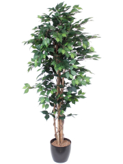 Ficus artificiel multitronc