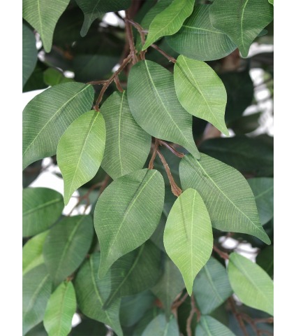 Ficus artificiel multitronc