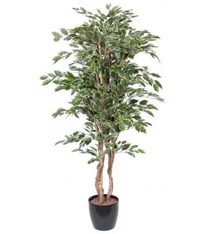Ficus pleureur artificiel