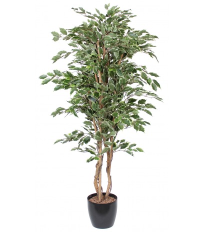 Ficus pleureur artificiel