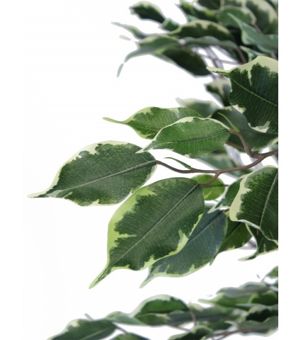 Ficus pleureur artificiel