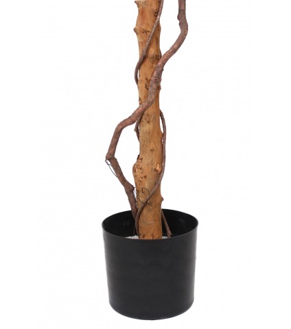 Ficus artificiel simple