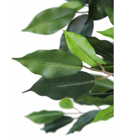 Ficus artificiel simple